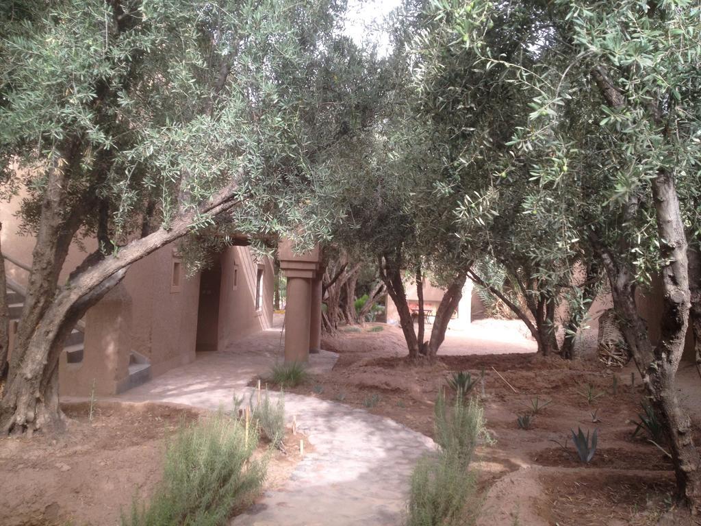مبيت وإفطار سكورة Dar Lorkam المظهر الخارجي الصورة