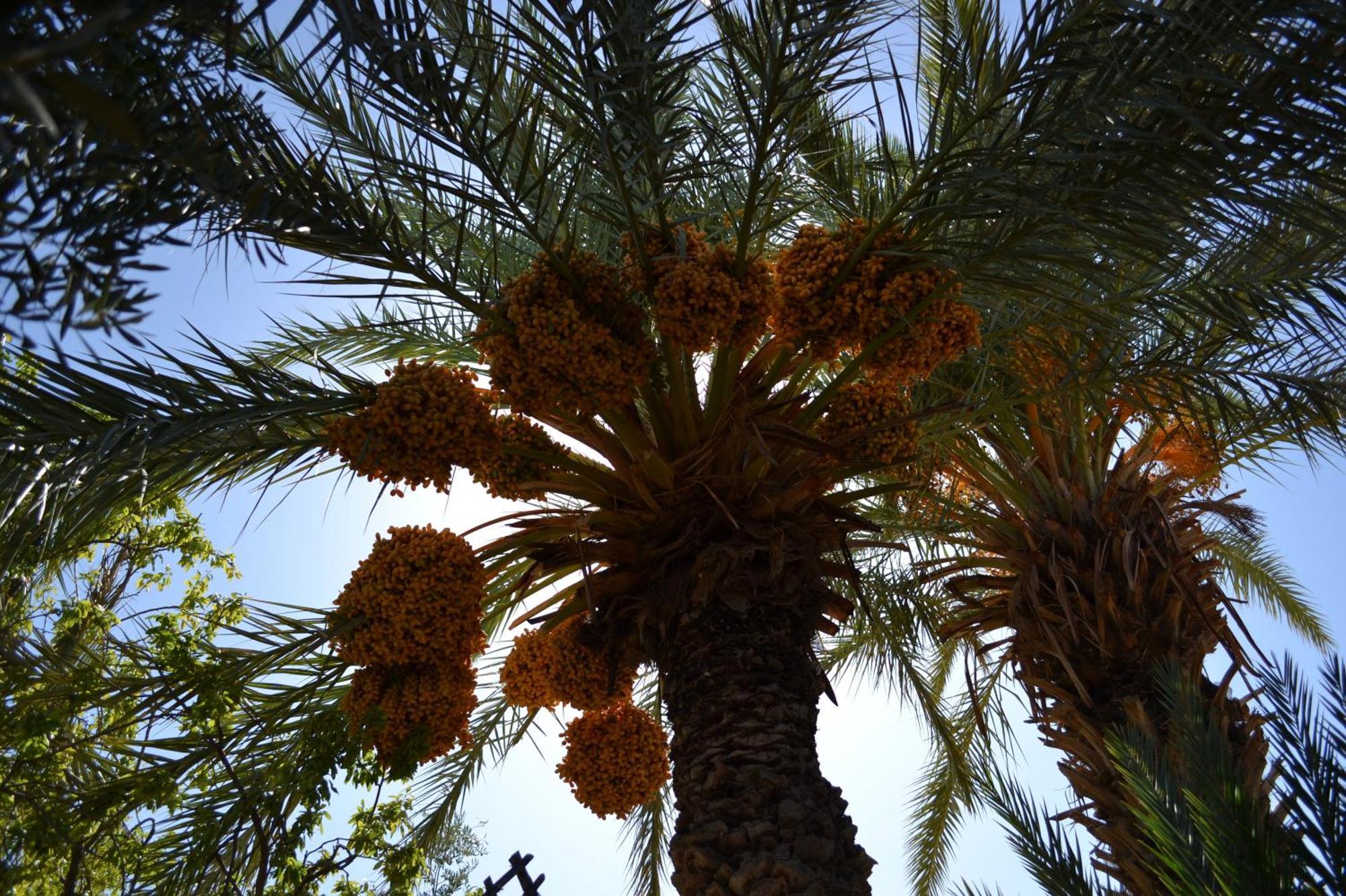 مبيت وإفطار سكورة Dar Lorkam المظهر الخارجي الصورة