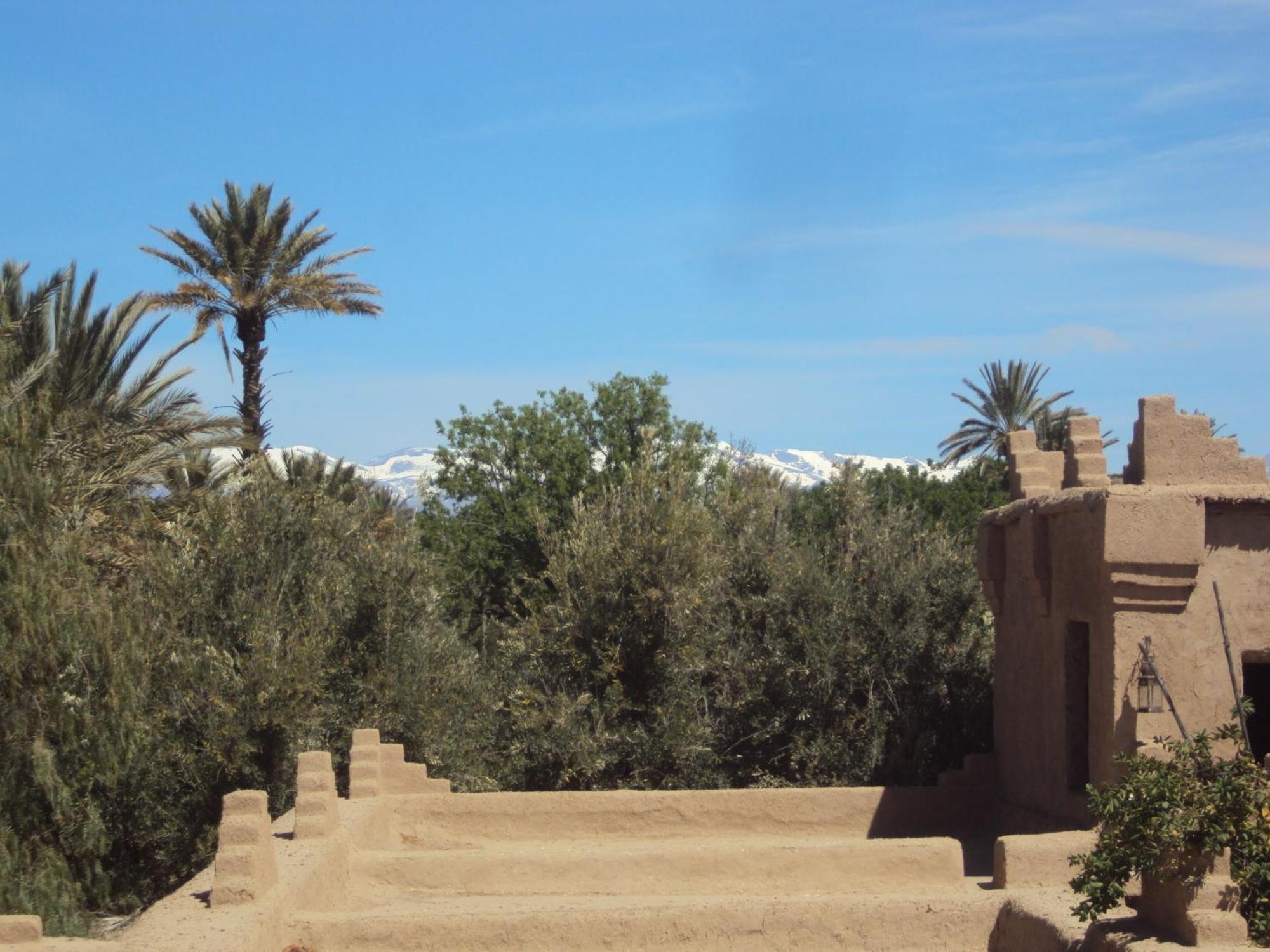 مبيت وإفطار سكورة Dar Lorkam الغرفة الصورة