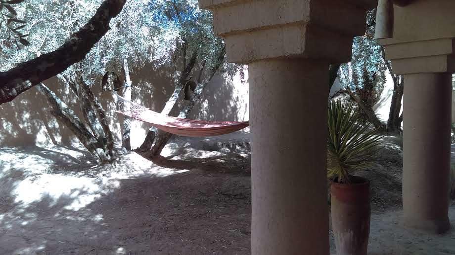 مبيت وإفطار سكورة Dar Lorkam المظهر الخارجي الصورة